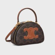 Celine Half Moon Case Bag in Triomphe Canvas Brown