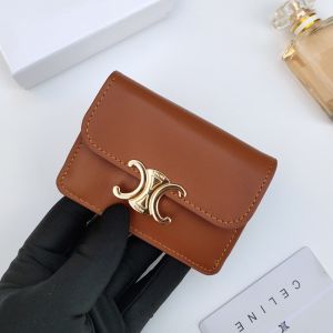 Celine Card Holder with Flap Triomphe in Shiny Calfskin Brown