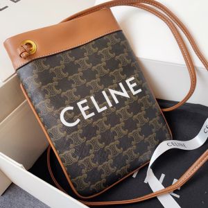 Celine Mini Poche Bag in Triomphe Canvas with Celine Print Brown