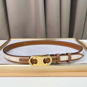 Celine Medium Framed Triomphe Belt in Calfskin Fabric with Triomphe Allover Print Brown