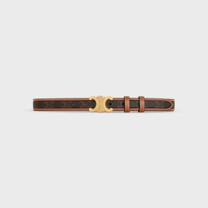 Celine Medium Triomphe Belt in Triomphe Canvas and Calfskin Brown